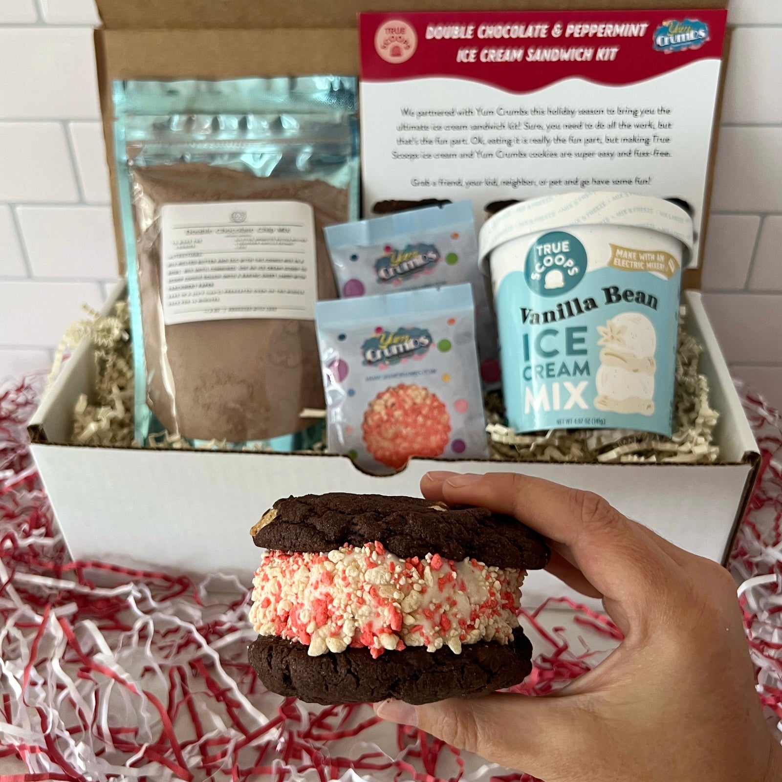 Double Chocolate & Peppermint Ice Cream Sandwiches