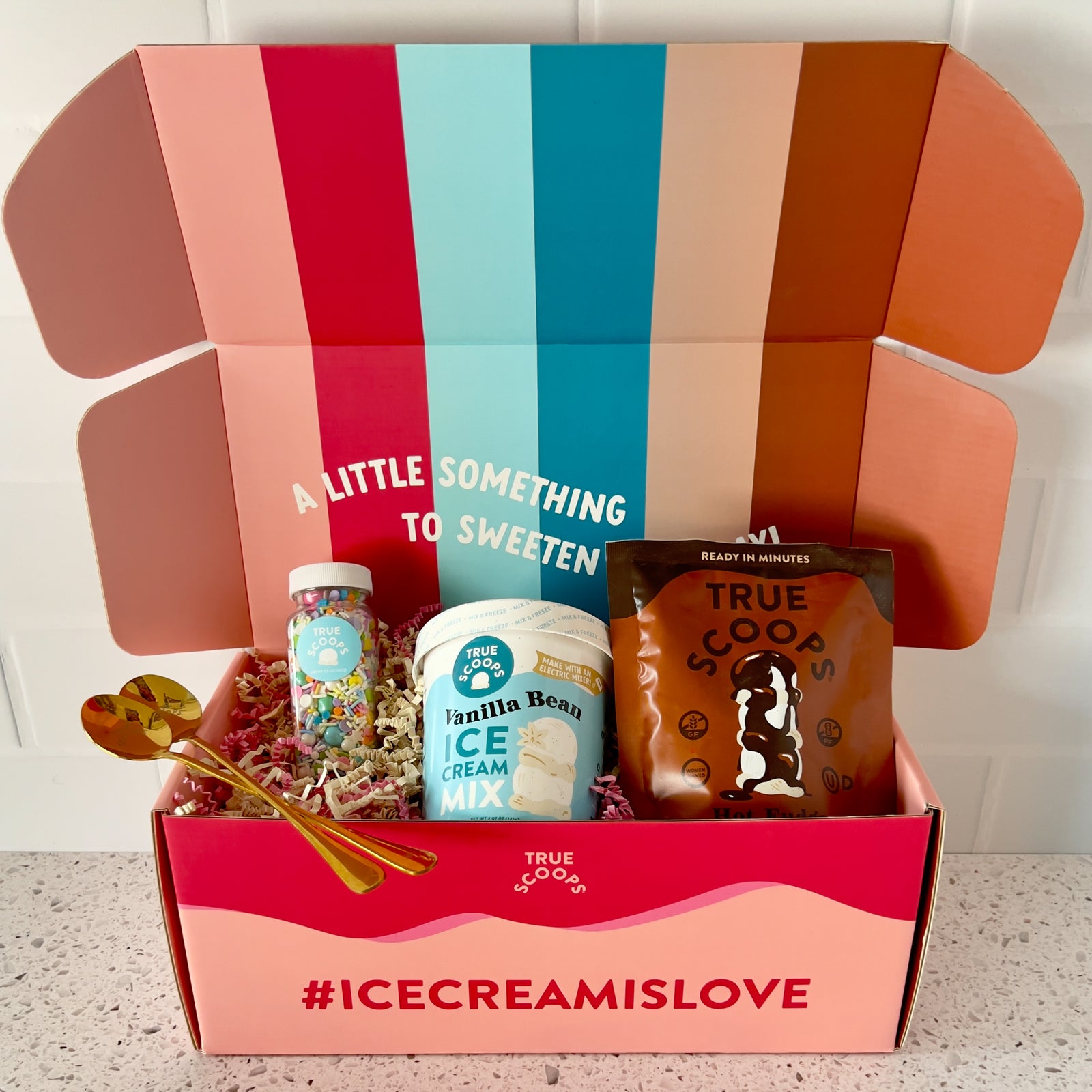 True Scoops vanilla bean and hot fudge ice cream sundae kit 